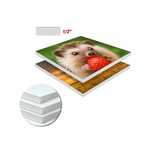 Foamboard 1/2 inch White